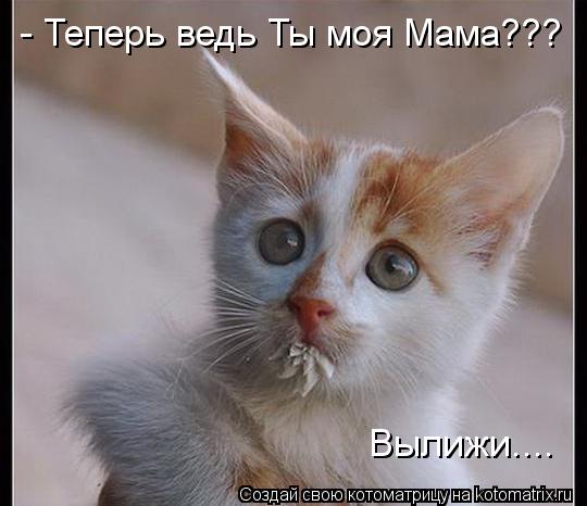 - Теперь ведь Ты моя Мама??? Вылижи....... Котоматрица: - Теперь ведь Ты моя Мама??? Вылижи....