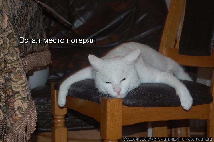 Встал-место потерял... Котоматрица: Встал-место потерял