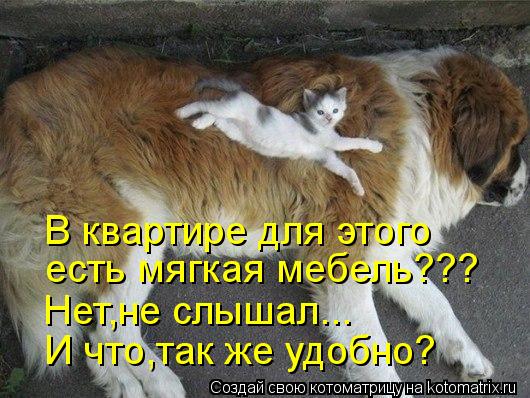 В квартире для этого есть мягкая мебель??? Нет,не слышал... И что,так же удобно?... Котоматрица: В квартире для этого есть мягкая мебель??? Нет,не слышал... И что,так же удобно?