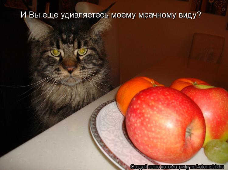 И Вы еще удивляетесь моему мрачному виду?... Котоматрица: И Вы еще удивляетесь моему мрачному виду?