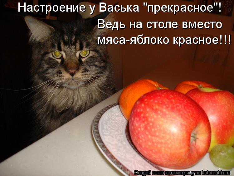 Настроение у Васька "прекрасное"! Ведь на столе вместо мяса-яблоко красное!!!... Котоматрица: Настроение у Васька "прекрасное"! Ведь на столе вместо мяса-яблоко красное!!!