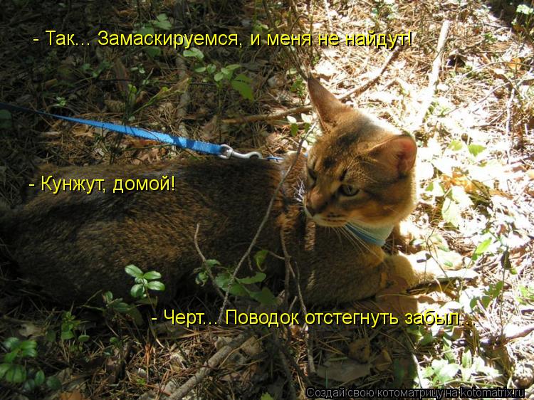 - Так... Замаскируемся, и меня не найдут! - Кунжут, домой! - Черт... Поводок отстегнуть забыл...... Котоматрица: - Так... Замаскируемся, и меня не найдут! - Кунжут, домой! - Черт... Поводок отстегнуть забыл...