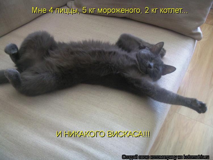 Мне 4 пиццы, 5 кг мороженого, 2 кг котлет... И НИКАКОГО ВИСКАСА!!!... Котоматрица: Мне 4 пиццы, 5 кг мороженого, 2 кг котлет... И НИКАКОГО ВИСКАСА!!!