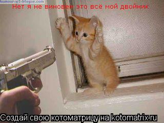 Нет я не виновен это всё мой двойник... Котоматрица: Нет я не виновен это всё мой двойник