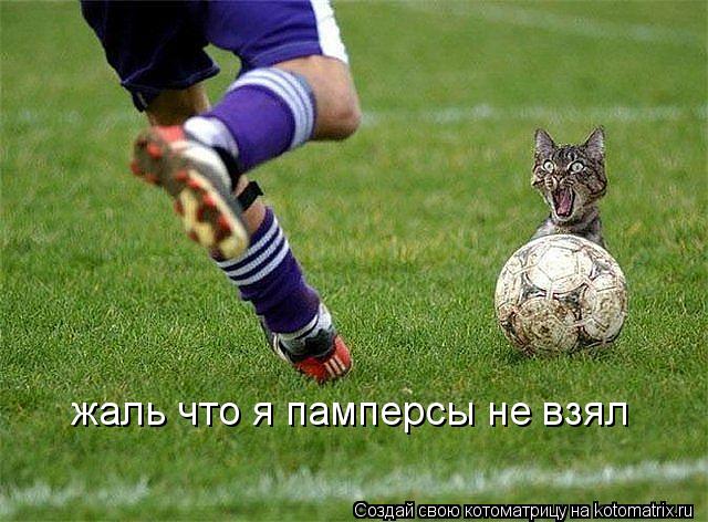 Котоматрица: жаль что я памперсы не взял