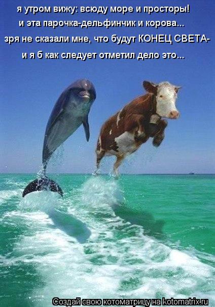 Котоматрица: я утром вижу: всюду море и просторы! и эта парочка-дельфинчик и корова... зря не сказали мне, что будут КОНЕЦ СВЕТА- и я б как следует отметил д