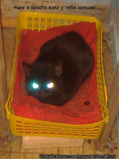 Котоматрица: -Аанг я просто взял у тебя орешки...