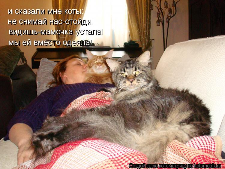 Котоматрица: и сказали мне коты: не снимай нас-отойди! видишь-мамочка устала! мы ей вместо одеяла!