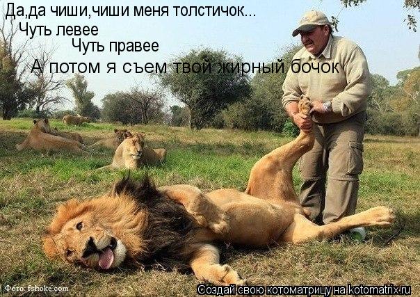 Котоматрица: Да,да чиши,чиши меня толстичок... Чуть левее Чуть правее А потом я съем твой жирный бочок