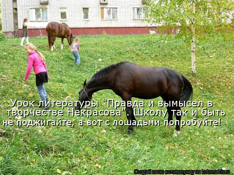 Урок литературы "Правда и вымысел в не поджигайте, а вот с лошадьми попробуйте! творчестве Некрасова... Котоматрица: Урок литературы "Правда и вымысел в не поджигайте, а вот с лошадьми попробуйте! творчестве Некрасова". Школу так и быть