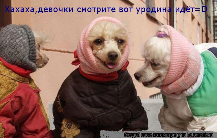 Хахаха,девочки смотрите вот уродина идёт=D... Котоматрица: Хахаха,девочки смотрите вот уродина идёт=D