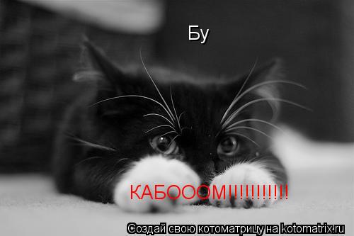 Бу КАБОООМ!!!!!!!!!!!... Котоматрица: Бу КАБОООМ!!!!!!!!!!!