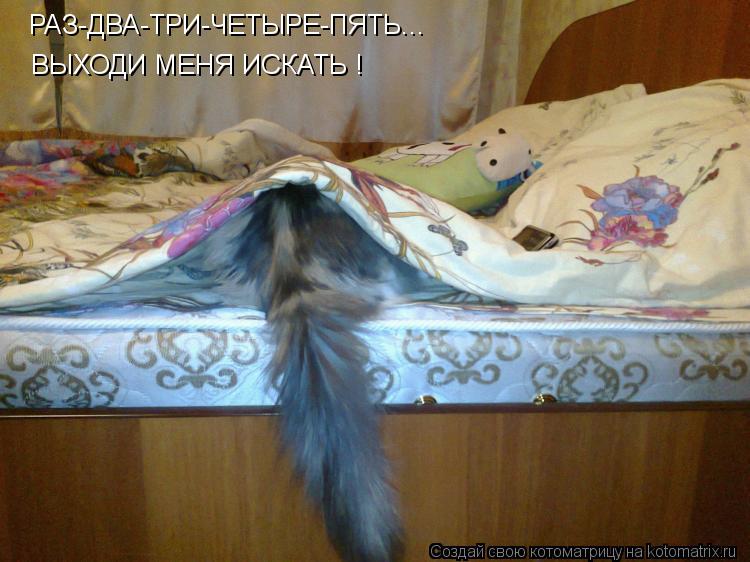РАЗ-ДВА-ТРИ-ЧЕТЫРЕ-ПЯТЬ... ВЫХОДИ МЕНЯ ИСКАТЬ !... Котоматрица: РАЗ-ДВА-ТРИ-ЧЕТЫРЕ-ПЯТЬ... ВЫХОДИ МЕНЯ ИСКАТЬ !