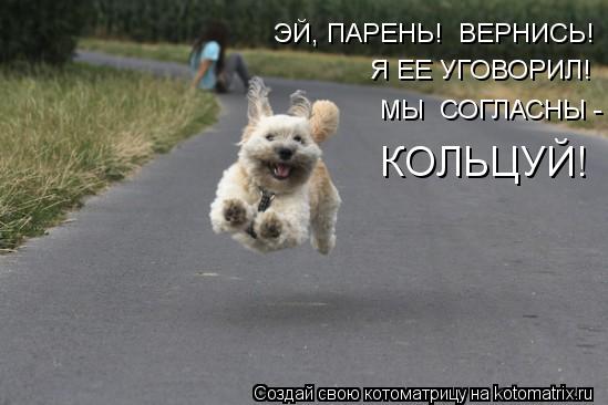 ЭЙ, ПАРЕНЬ! ВЕРНИСЬ! Я ЕЕ УГОВОРИЛ! МЫ СОГЛАСНЫ - КОЛЬЦУЙ!... Котоматрица: ЭЙ, ПАРЕНЬ! ВЕРНИСЬ! Я ЕЕ УГОВОРИЛ! МЫ СОГЛАСНЫ - КОЛЬЦУЙ!