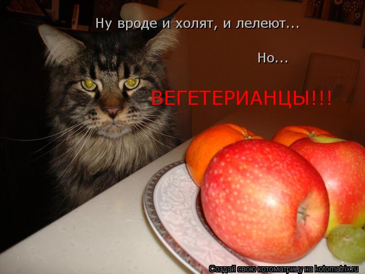 Ну вроде и холят, и лелеют... Но... ВЕГЕТЕРИАНЦЫ!!!... Котоматрица: Ну вроде и холят, и лелеют... Но... ВЕГЕТЕРИАНЦЫ!!!