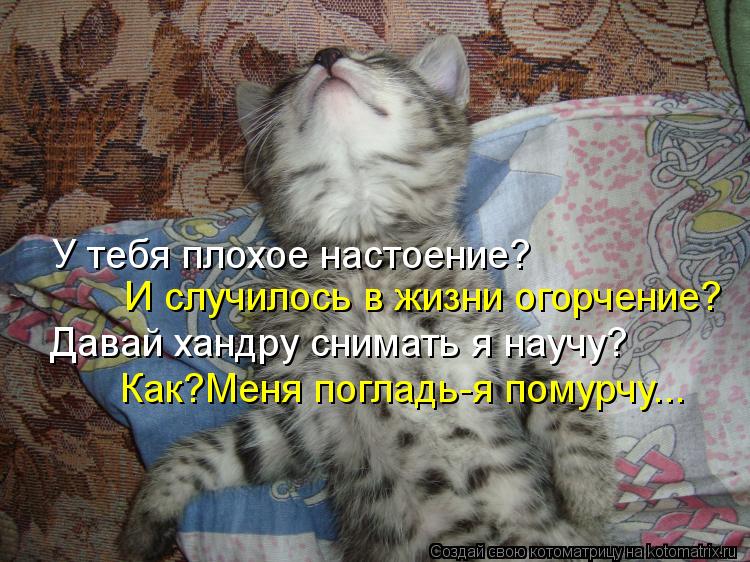 Котоматрица: У тебя плохое настоение? И случилось в жизни огорчение? Давай хандру снимать я научу? Как?Меня погладь-я помурчу...