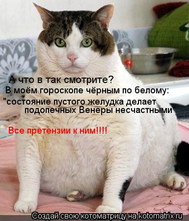 Котоматрица: А что в так смотрите? В моём гороскопе чёрным по белому: "состояние пустого желудка делает  подопечных Венеры несчастными"  Все претензии к н