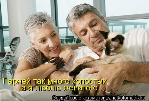 Котоматрица: Парней так много холостых, а я люблю женатого...