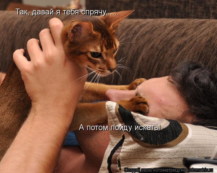 Котоматрица: Так, давай я тебя спрячу...... А потом пойду искать!