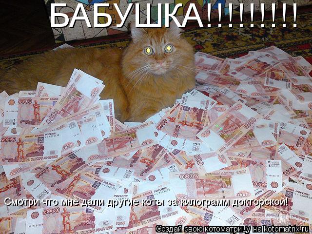 БАБУШКА!!!!!!!!! Смотри что мне дали другие коты за килограмм докторской!... Котоматрица: БАБУШКА!!!!!!!!! Смотри что мне дали другие коты за килограмм докторской!