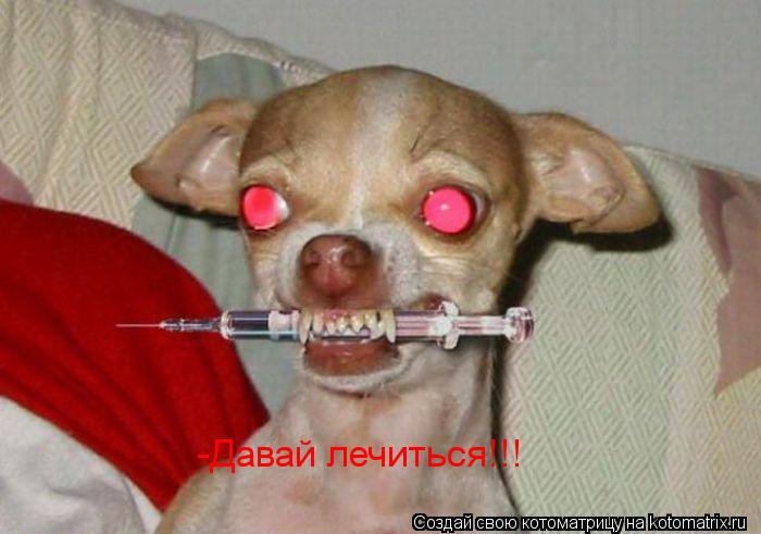 -Давай лечиться!!!... Котоматрица: -Давай лечиться!!!