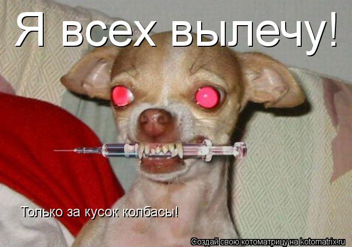 Я всех вылечу! Только за кусок колбасы!... Котоматрица: Я всех вылечу! Только за кусок колбасы!