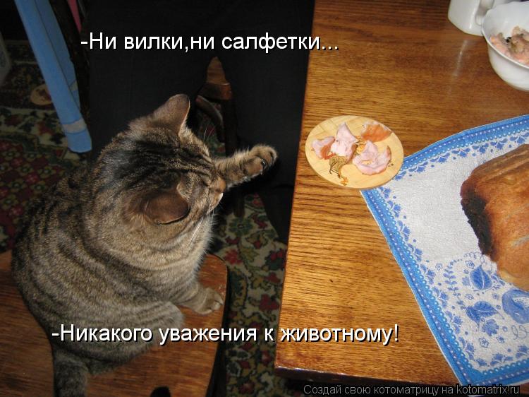 -Ни вилки,ни салфетки... -Никакого уважения к животному!... Котоматрица: -Ни вилки,ни салфетки... -Никакого уважения к животному!