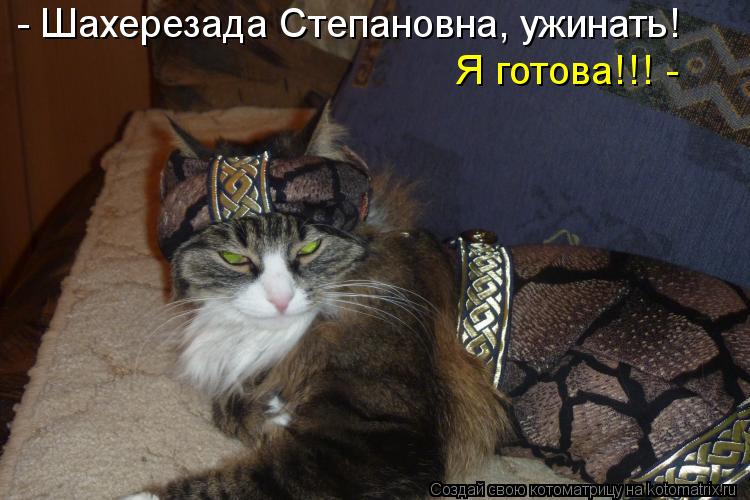 - Шахерезада Степановна, ужинать! Я готова!!! -... Котоматрица: - Шахерезада Степановна, ужинать! Я готова!!! -