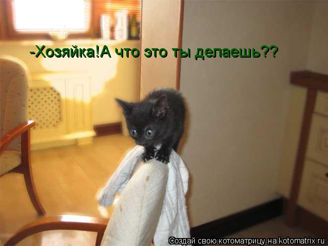 -Хозяйка!А что это ты делаешь??... Котоматрица: -Хозяйка!А что это ты делаешь??