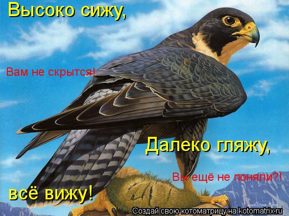 Высоко сижу, Далеко гляжу, всё вижу! Вам не скрытся! Вы ещё не поняли?!... Котоматрица: Высоко сижу, Далеко гляжу, всё вижу! Вам не скрытся! Вы ещё не поняли?!