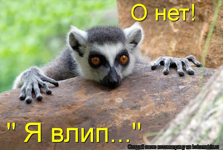 " Я влип..." О нет!... Котоматрица: " Я влип..." О нет!