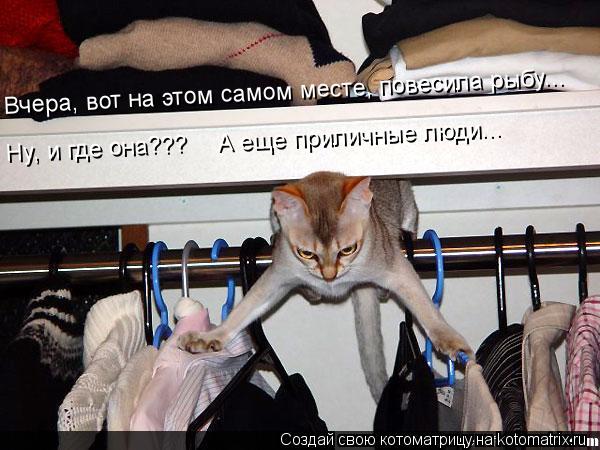 Вчера, вот на этом самом месте, повесила рыбу... Ну, и где она??? А еще приличные люди...... Котоматрица: Вчера, вот на этом самом месте, повесила рыбу... Ну, и где она??? А еще приличные люди...