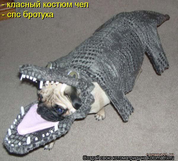 - класный костюм чел - спс бротуха... Котоматрица: - класный костюм чел - спс бротуха