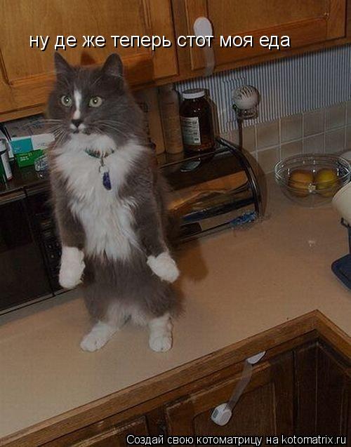 ну де же теперь стот моя еда... Котоматрица: ну де же теперь стот моя еда