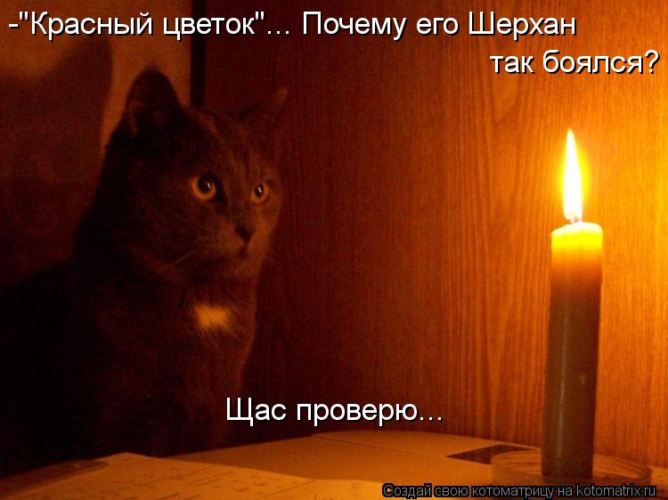 -"Красный цветок"... Почему его Шерхан так боялся? Щас проверю...... Котоматрица: -"Красный цветок"... Почему его Шерхан так боялся? Щас проверю...