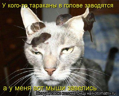 а у меня вот мыши завелись У кого-то тараканы в голове заводятся... Котоматрица: а у меня вот мыши завелись У кого-то тараканы в голове заводятся