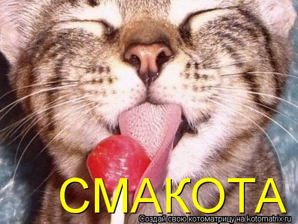 СМАКОТА... Котоматрица: СМАКОТА