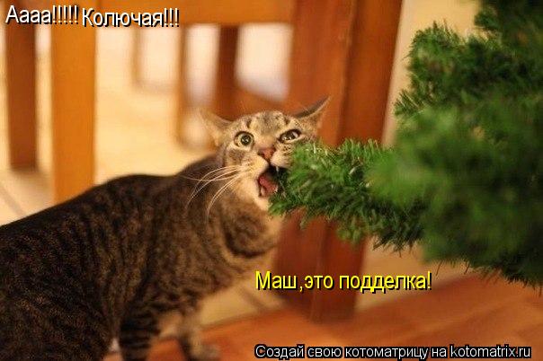 Аааа!!!!! Колючая!!! Маш,это подделка!... Котоматрица: Аааа!!!!! Колючая!!! Маш,это подделка!