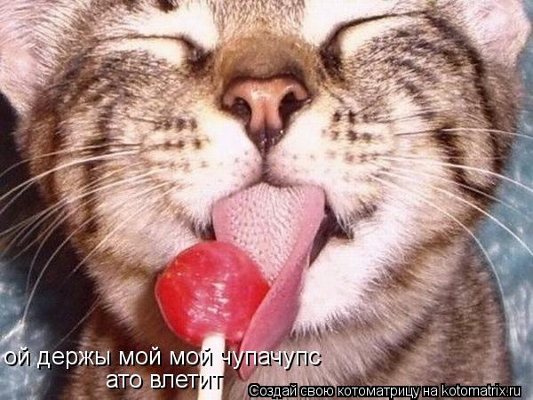 ой держы мой мой чупачупс ато влетит... Котоматрица: ой держы мой мой чупачупс ато влетит