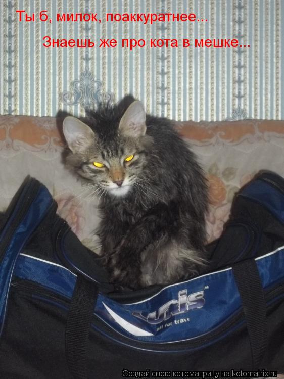 Ты б, милок, поаккуратнее... Знаешь же про кота в мешке...... Котоматрица: Ты б, милок, поаккуратнее... Знаешь же про кота в мешке...