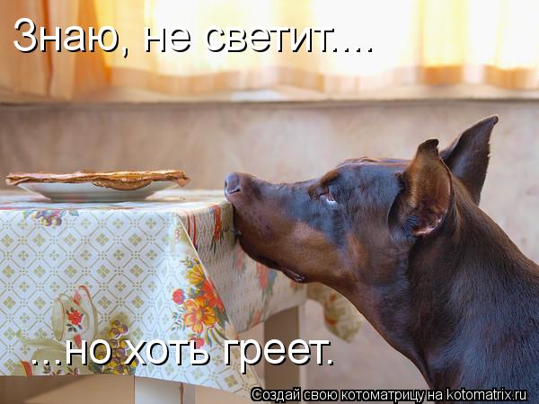 Знаю, не светит.... ...но хоть греет.... Котоматрица: Знаю, не светит.... ...но хоть греет.
