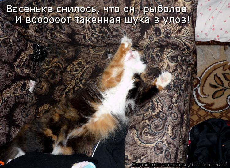 Васеньке снилось, что он -рыболов И воооооот такенная щука в улов!... Котоматрица: Васеньке снилось, что он -рыболов И воооооот такенная щука в улов!