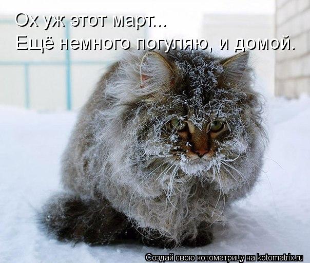 Ох уж этот март... Ещё немного погуляю, и домой.... Котоматрица: Ох уж этот март... Ещё немного погуляю, и домой.