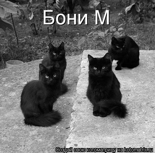 Бони М... Котоматрица: Бони М