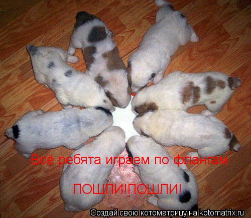Всё ребята играем по флангам ПОШЛИ!ПОШЛИ!... Котоматрица: Всё ребята играем по флангам ПОШЛИ!ПОШЛИ!