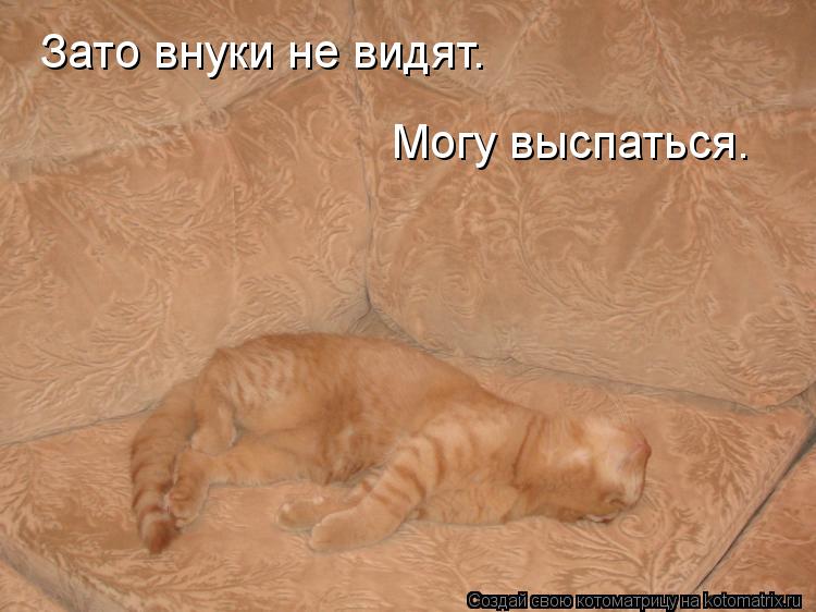 Зато внуки не видят. Могу выспаться.... Котоматрица: Зато внуки не видят. Могу выспаться.