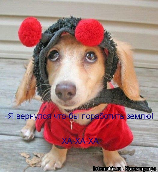 -Я вернулся что-бы поработить землю! ХА-ХА-ХА... Котоматрица: -Я вернулся что-бы поработить землю! ХА-ХА-ХА