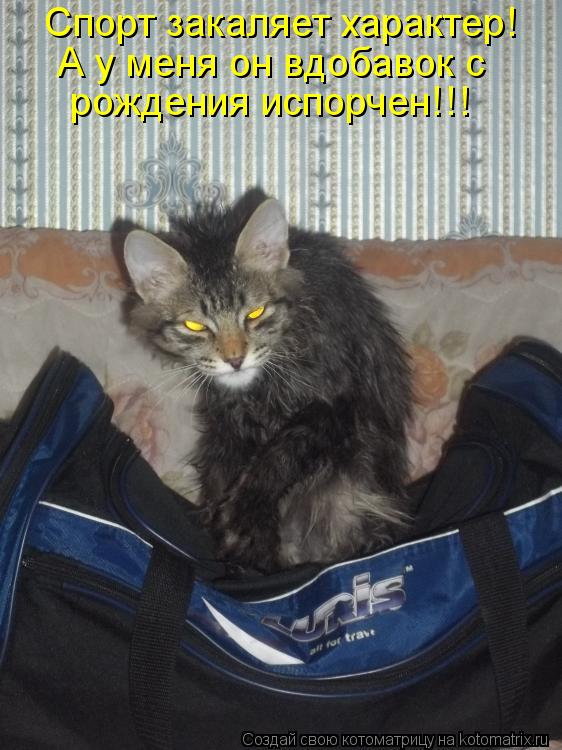 Спорт закаляет характер! А у меня он вдобавок с рождения испорчен!!!... Котоматрица: Спорт закаляет характер! А у меня он вдобавок с рождения испорчен!!!