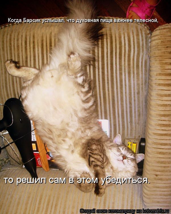 Когда Барсик услышал, что духовная пища важнее телесной, то решил сам в этом убедиться.... Котоматрица: Когда Барсик услышал, что духовная пища важнее телесной, то решил сам в этом убедиться.