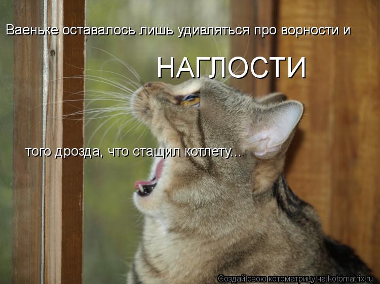 Ваеньке оставалось лишь удивляться про ворности и Ваеньке оставалось лишь удивляться про ворности и Н... Котоматрица: Ваеньке оставалось лишь удивляться про ворности и Ваеньке оставалось лишь удивляться про ворности и НАГЛОСТИ того дрозда, что стащил котл